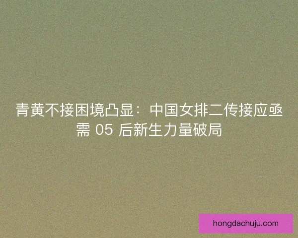 青黄不接困境凸显:中国女排二传接应亟需 05 后新生力量破局 青黄不接困境凸显:中国女排二传接应亟需 05 后新生力量破局